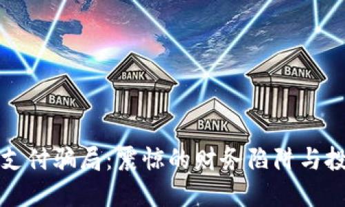 揭秘湖南虚拟币支付骗局：震惊的财务陷阱与投资者的心路历程