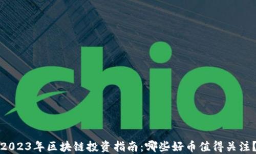 
2023年区块链投资指南：哪些好币值得关注？