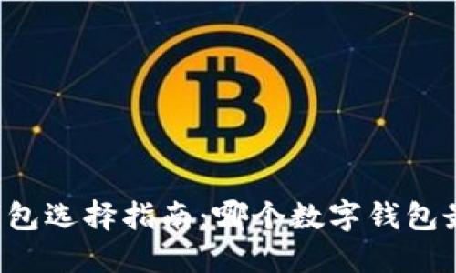 虚拟币钱包选择指南：哪个数字钱包最适合你？