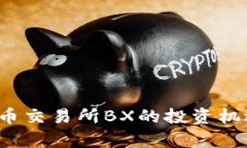 2023年虚拟币交易所BX的投资机遇与风险解析