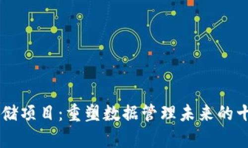 区块链云存储项目：重塑数据管理未来的十个前沿平台