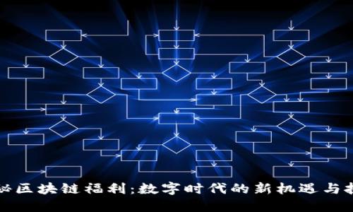 揭秘区块链福利:数字时代的新机遇与挑战