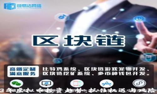 
2023年虚拟币投资趋势：抓住机遇与风险并存