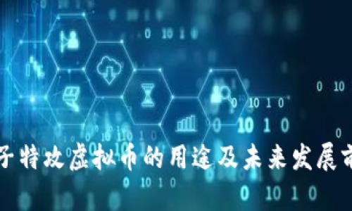 量子特攻虚拟币的用途及未来发展前景